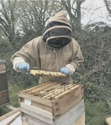  ??  ?? Park Farm Cottages beekeeper collecting honey