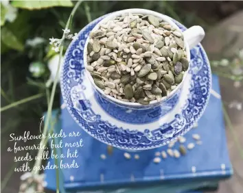  ??  ?? Sunflower seeds are a favourite, but most seeds will be a hit with garden birds