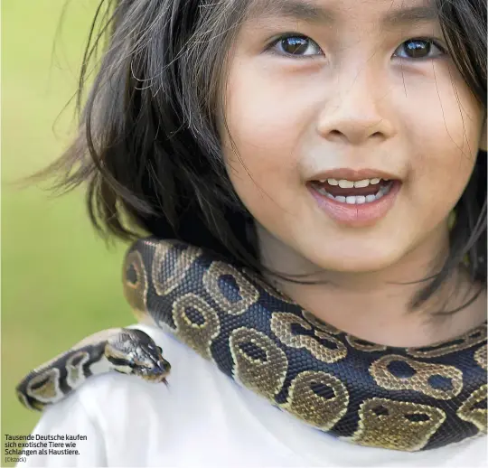  ?? (©Istock) ?? Tausende Deutsche kaufen sich exotische Tiere wie Schlangen als Haustiere.