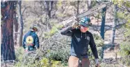  ?? EDDIE MOORE/JOURNAL ?? Members of the Santa Fe Fire Department’s Atalaya Hand Crew thin a section of the Santa Fe National Forest near Glorieta in March 2018. The effort aims to better protect the Santa Fe Watershed from a fire.