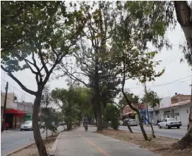  ??  ?? Se proyecta comunicar la ciclovía con las de otras avenidas.