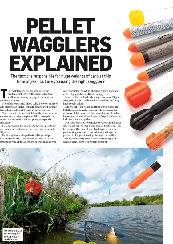  ??  ?? The wide range of pellet wagglers offers plenty of tackle options