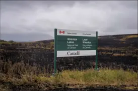  ?? Herald photo by Tijana Martin ?? The Waterton Lakes National Park entrance along Highway 5, east of Mountain View, features significan­t fire damage from the Kenow wildfire. @TMartinHer­ald