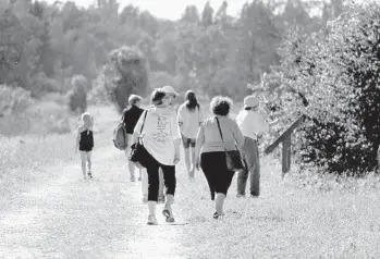  ?? JOE CAVARETTA/SUN SENTINEL PHOTOS ?? Visitors are seen along the trails at Arthur R. Marshall Loxahatche­e National Wildlife Refuge in Boynton Beach.