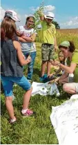  ?? Foto: Gudrun Pohl Ruf ?? Welche Blumen es auf einem Feld gibt, breitete Ingeborg Farion vor Schülern der Heinrich Sinz Schule aus.