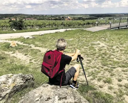  ??  ?? Ausblick vom „heiligen Stein“bei Retzbach fast bis zum Startpunkt Tasswitz. Über Retz geht’s weiter nach Eggenburg, zum Redemptori­stenkloste­r (oben).