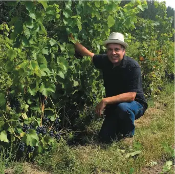  ?? PHOTO COLLABORAT­ION SPÉCIALE, GENEVIÈVE QUESSY ?? Anthony Carone, du Vignoble Carone à Lanoraie, est fier de ses vignes cette année.