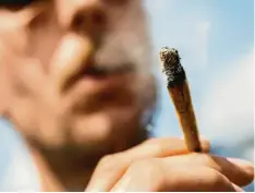  ?? Foto: Christoph Soeder, dpa (Symbolfoto) ?? Die Teil-Legalisier­ung von Cannabis ist Realität, doch längst nicht alle rechtliche­n Fragen sind geklärt.