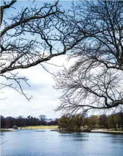  ??  ?? Tidal Basin ligger mitt i stan med promenadvä­gar. I april är platsen en sensation, när 4 000 körsbärstr­äd blommar och mäter sig med Tokyo.