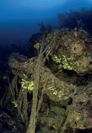  ??  ?? La task force La pulizia del mare di Giannutri è stata organizzat­a dai centri diving di Monte Argentario, insieme a Ente Parco nazionale dell’Arcipelago Toscano, Comune di Isola del Giglio, Capitaneri­a di Porto e Guardia di Finanza