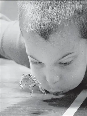  ?? PHOTOS BY STAN CARROLL/THE COMMERCIAL APPEAL ?? A puff of air from third- grader Cooper Dye is encouragem­ent to his frog Speeding Green to hop to the finish line during Friday’s race. Tucked into the competitio­n were lessons in bar graphs, rounding numbers and place value — all standards for the...