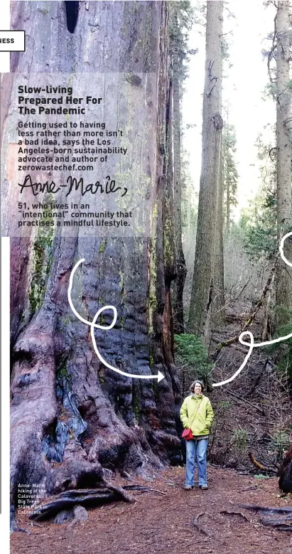  ??  ?? Anne-Marie hiking at the Calaveras Big Trees State Park in California.