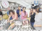  ??  ?? L’équipe de recherche de l’université de Montpellie­r achète du poisson sur le marché de Panama City qui servira à attirer les grands prédateurs.