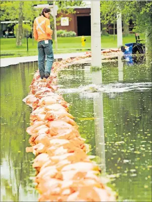  ?? $1 1)050 ?? Arborist Claire Bohdan walks the street line row of sandbags Friday as a spawning carp splashes near her on Toronto Islands. The sandbags hold water from flooding the land more as Toronto Islands are threatened by rising water levels on Friday.
