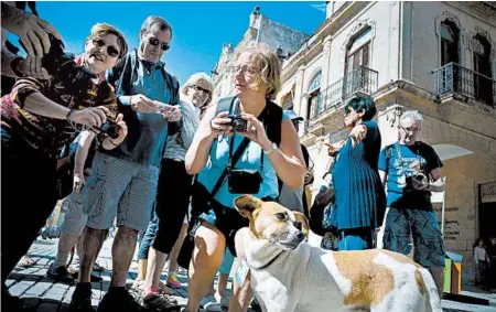  ?? RAMON ESPINOSA/AP ?? Tourists snap photos of one of the dogs protected by workers in Havana. U.S. tourism spending at private-sector businesses seems to be falling in Cuba.