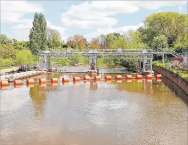  ??  ?? Engineers are creating a special gate at East Farleigh lock to allow fish to swim through