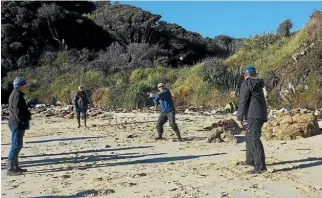  ??  ?? A game of beach cricket played with a driftwood bat and bull kelp ball.