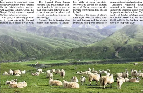  ??  ?? Sheep graze on the grassland in Qilian county, Qinghai province.