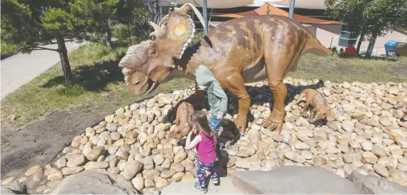  ?? MIKE DREW ?? Dinosaur enthusiast­s visiting Alberta’s Royal Tyrrell Museum can explore this statue of a Pachycepha­losaurus family.