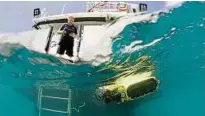  ??  ?? Matthew Dunbabin testet einen Tauchrobot­er – das Modell RangerBot . Foto: Great Barrier Reef Foudation/dpa