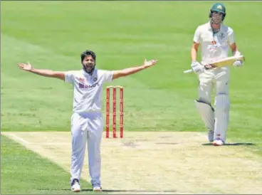  ?? AP ?? Shardul Thakur gets Pat Cummins out leg-before, his second wicket in as many overs, to restrict Australia at the Gabba.