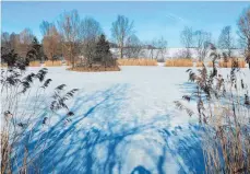  ?? FOTO: GEISELMANN ?? Der Delkhofer See ist derzeit zugefroren. Der Angelverei­n Deilingen bereitet sich aber schon aufs Angeln vor.