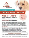  ??  ?? Online Puppy Classes