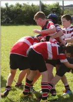  ??  ?? Wicklow’s U13s in action against Tullow.