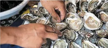  ?? | PHOTO : GUILLAUME SALIGOT / OUEST-FRANCE ?? Manche régionale Nord-Bretagne du championna­t de France des écaillers dans la PAM à Brest (Finistère) où les candidats doivent dresser des plateaux de fruits de mer à base de crevettes, huîtres, crabes, etc.