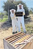  ?? ?? i We’re buzzing: the duo bonded over a beekeeping session at Carmel Valley Ranch