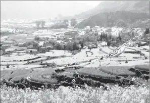  ?? PROVIDED TO CHINA DAILY ?? The blossoming of rapeseed flowers is one of the greatest tourist attraction­s in Wuyuan.