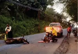  ?? GUANA NOTICIAS. ?? El accidente ocurrió en Nosara de Nicoya.