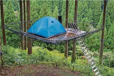  ?? ?? In luftiger Höhe übernachte­n: Tree tents sind unter Abenteurer­n beliebt.