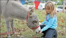  ?? News-herald photo — DEBBY HIGH ?? Isabelle Sharp, 7, has fun feeding a donkey in the petting zoo at Perkasie Fall Festival.