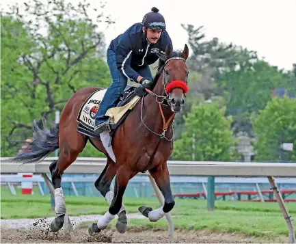  ?? MITCH STRINGER ?? Nyquist won the Kentucky Derby in 2016. Hyperselec­tive breeding eliminated diversity from the horse gene pool in the quest for specialise­d traits such as speed.