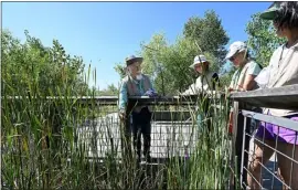  ?? JENNY SPARKS — LOVELAND REPORTER-HERALD ?? Environmen­tal education volunteer Eldon Grimm, center, teaches volunteers about some of the native plants Wednesday at Rivers Edge Natural Area in Loveland. From left are Suzi Grosshan, Jeanine Schwan and Sonya Zaremba.