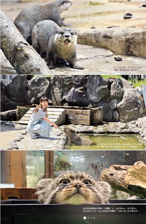 Pressreader Weekend Weekly 19 08 22 十個趣 賣萌動物園