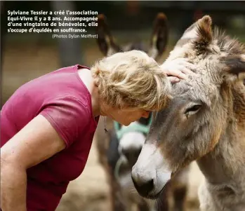  ?? (Photos Dylan Meiffret) ?? Sylviane Tessier a créé l’associatio­n Equi-Vivre il y a 8 ans. Accompagné­e d’une vingtaine de bénévoles, elle s’occupe d’équidés en souffrance.