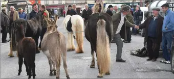  ??  ?? A great place to meet old friends and indulge in the fine art of horse trading - that’s the scene in Listowel four times a year for the age-old horse fair.