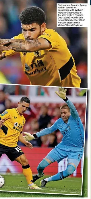  ??  ?? Nottingham Forest’s Tyrese Fornah battles for possession with Wolves’ Morgan Gibbs-white in Tuesday night’s Carabao Cup second round clash. Below: Reds keeper Ethan Horvath closes down Wolves’ Daniel Podence