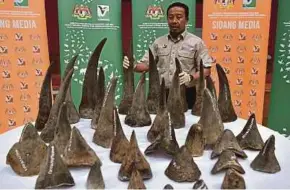  ?? BERNAMA PIC ?? Perhilitan director-general Datuk Abdul Kadir Abu Hashim with the seized rhinoceros horns in Kuala Lumpur yesterday.