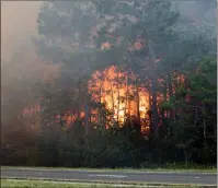  ?? The Associated Press ?? Flames consume trees along I-10 as the Five Mile Swamp Fire burns in Milton, Fla. Authoritie­s say firefighte­rs in the Florida Panhandle are battling wildfires that have forced some 1,600 people to evacuate from their homes. Smoke from the fires caused officials to close a stretch of Interstate 10 in both directions.