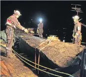  ?? FOTO: FEUERWEHR ?? Höhenrette­r der Feuerwehr sichern in Düsseldorf ein Hausdach, auf dem sich die Abdeckung gelöst hat.