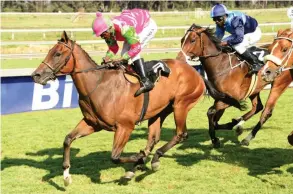  ?? JC PHOTOGRAPH­ICS ?? No Mans Land is a worthy Pick 6 banker in Race 8 at the Vaal today. /