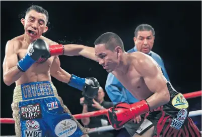  ??  ?? GOLPAZO. Francisco Estrada descompone el rostro del peleador mexicano Felipe Guadalupe Orucuta.