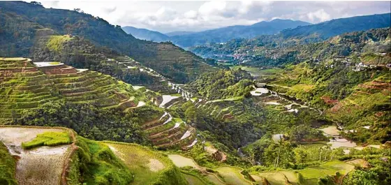  ?? JOHN K. CHUA/CONTRIBUTO­R ?? FAVORITE SUBJECT The Banaue Rice Terraces fascinated Chua the first time he saw it. He visited Ifugao so often that the community accepted him as family.—