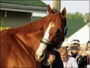  ?? GARRY JONES — THE ASSOCIATED PRESS ?? Justify checks out the crowd outside Barn 33 at Churchill Downs on May 6 in Louisville, Ky.