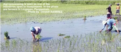  ?? —Photo by CESAR RAMIREZ ?? Agri-processing is seen as one of the industries open to investment­s. In the photo are farmers in Lingayen, Pangasinan.