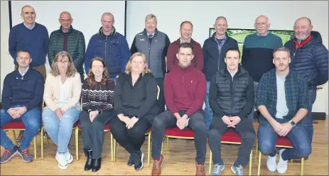  ?? (Pic: John Ahern) ?? FULL STEAM AHEAD IN CASTLELYON­S: Members of Castlelyon­s Developmen­t Steering Committee who presented their plans at a meeting in Castlelyon­s Community Centre last Friday evening. Seated, l-r: Tom Quirke, Mary Fenton, Margaret Doran, Helen Hennessy, Ronan Fenton, Declan Sexton and Kieran Barrett; Back, l-r: Con Lawlor, John McCarthy, Mick Spillane, Kieran McGann, John Coleman, Declan Spillane, John Leetch and Nelius O’Brien.