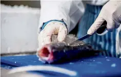  ?? ?? Scottish mackerel being processed.